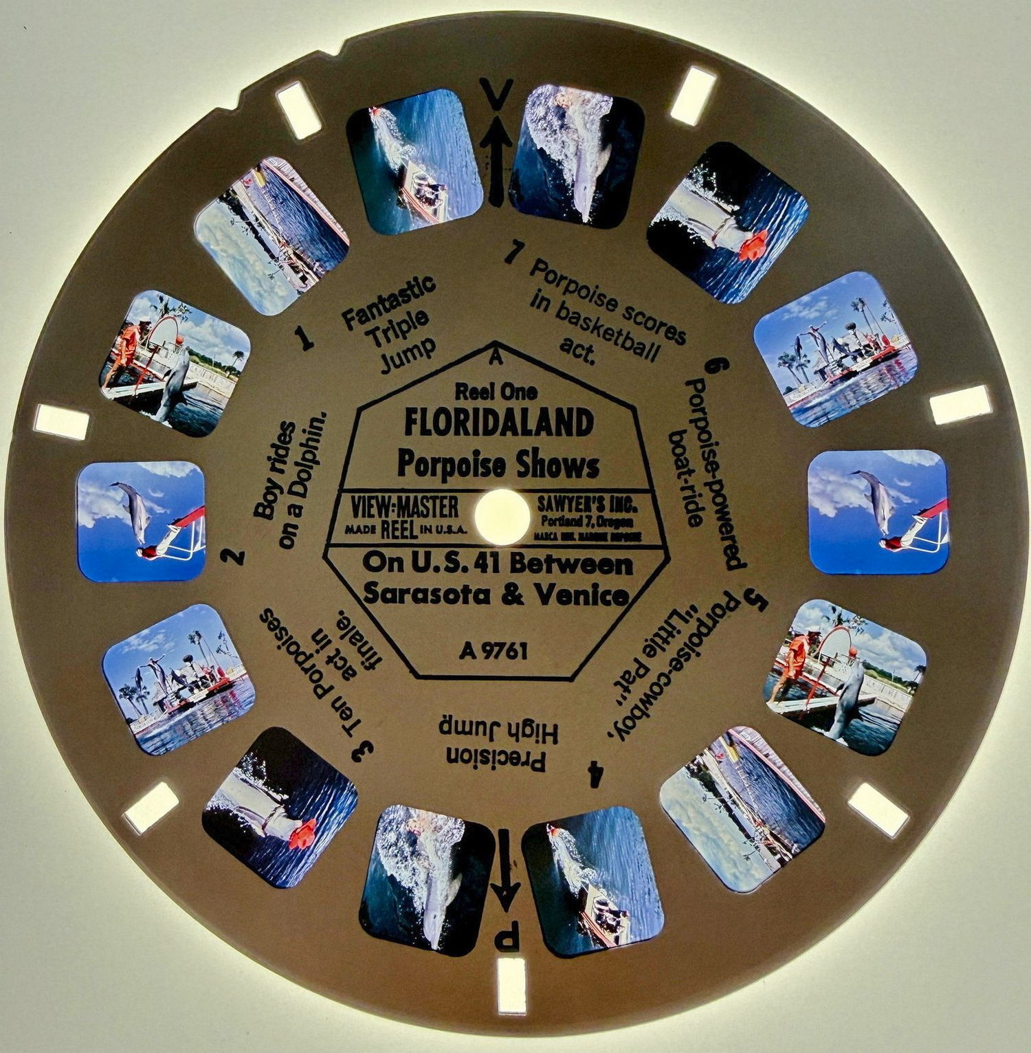 viewmaster reel 1 Floridaland, Osprey